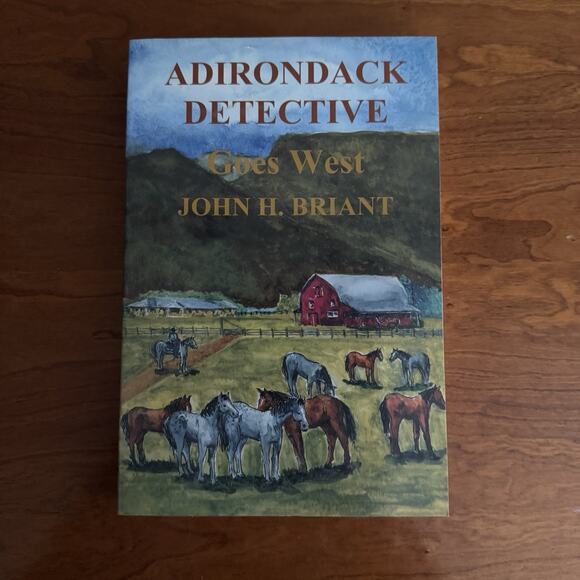 John Briant The Adirondack Detective Series Lot of 3 Trade Paperback One Signed - Picture 11 of 16